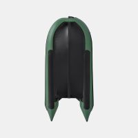 Моторная лодка GLADIATOR C330AL зелёный