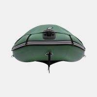 Моторная лодка GLADIATOR C400AL зелёный