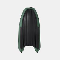 Моторная лодка GLADIATOR E350PRO зелёный