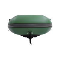 Моторная лодка GLADIATOR E350PRO зелёный