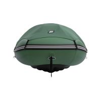 Моторная лодка GLADIATOR E380PRO зелёный