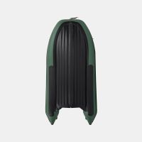 Моторная лодка GLADIATOR E380PRO зелёный