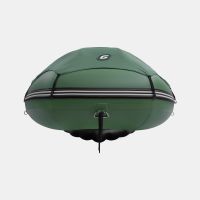 Моторная лодка GLADIATOR E420PRO зелёный