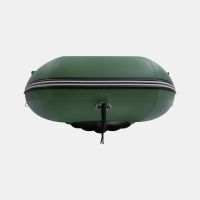 Моторная лодка GLADIATOR E420PRO зелёный