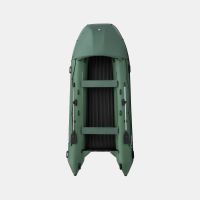 Моторная лодка GLADIATOR E450PRO зелёный