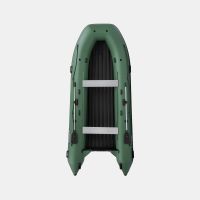 Моторная лодка GLADIATOR E450PRO зелёный