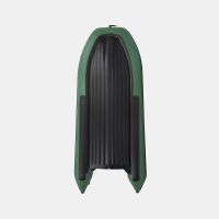 Моторная лодка GLADIATOR E450PRO зелёный