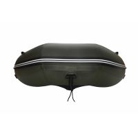 Моторная лодка GLADIATOR B370AL зелёный