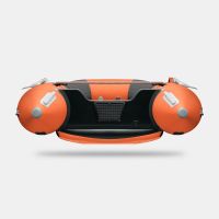 Моторная лодка GLADIATOR E300S оранжево/темно-серый  СПБ