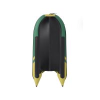 Моторная лодка GLADIATOR C330AL зелено-оливковый