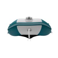 Моторная лодка GLADIATOR C370AL морской зеленый-белый