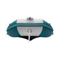 Моторная лодка GLADIATOR C400AL морской зеленый-белый