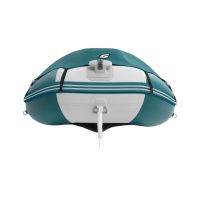 Моторная лодка GLADIATOR C400AL морской зеленый-белый