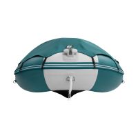 Моторная лодка GLADIATOR C420AL морской зеленый-белый