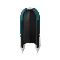 Моторная лодка GLADIATOR C420AL морской зеленый-белый