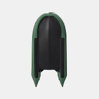 Моторная лодка GLADIATOR C370AL зелёный